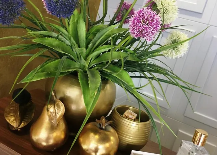 Set Oezer צ'נקלה